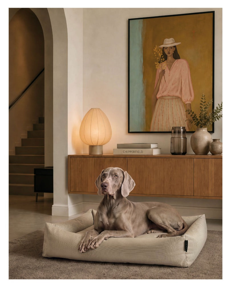 Panier pour chien Dogsofa
